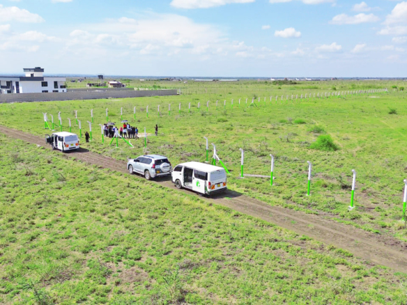 Ruiru East Kamakis - Mwalimu Farm, Court Haven Phase (II)