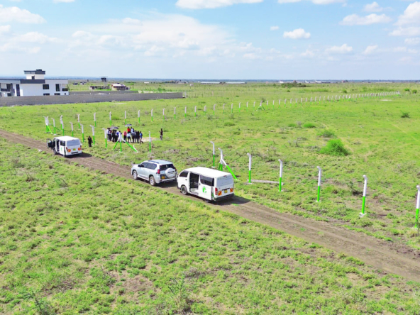 Ruiru East Kamakis - Mwalimu Farm, Court Haven Phase (II)