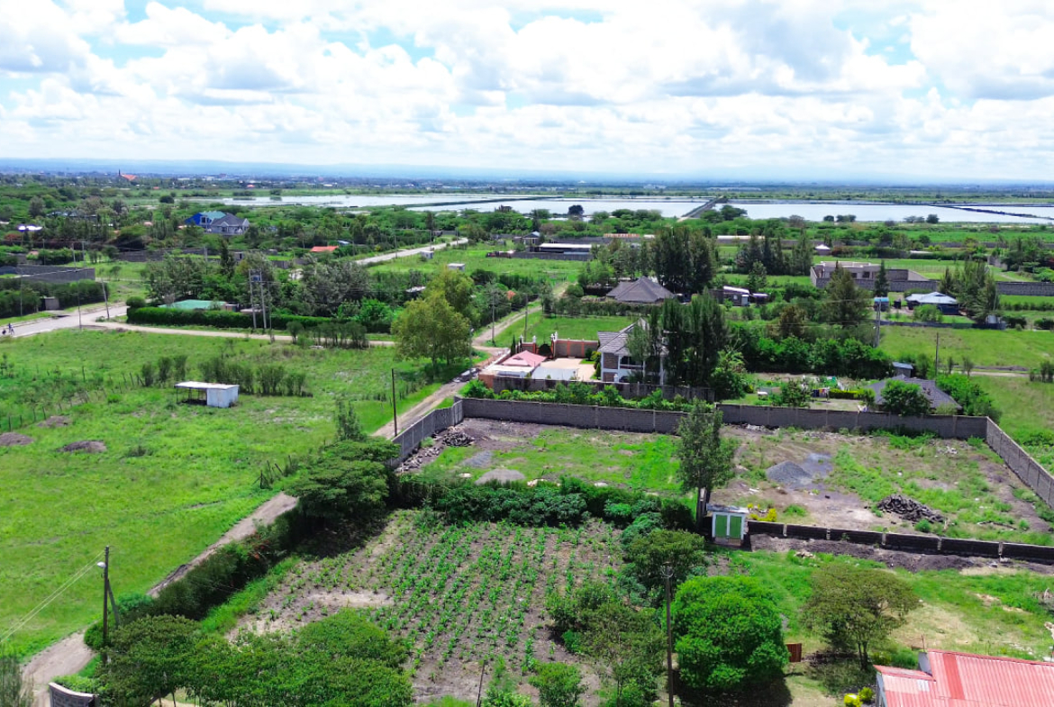 Ruiru East Kamakis Mwalimu Farm Blossom Gardens Phase IX